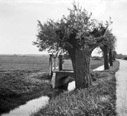 Gezicht op de Ezelsdijk te Utrecht vanaf de tol aan de Blauwkapelseweg omstreeks 1920.